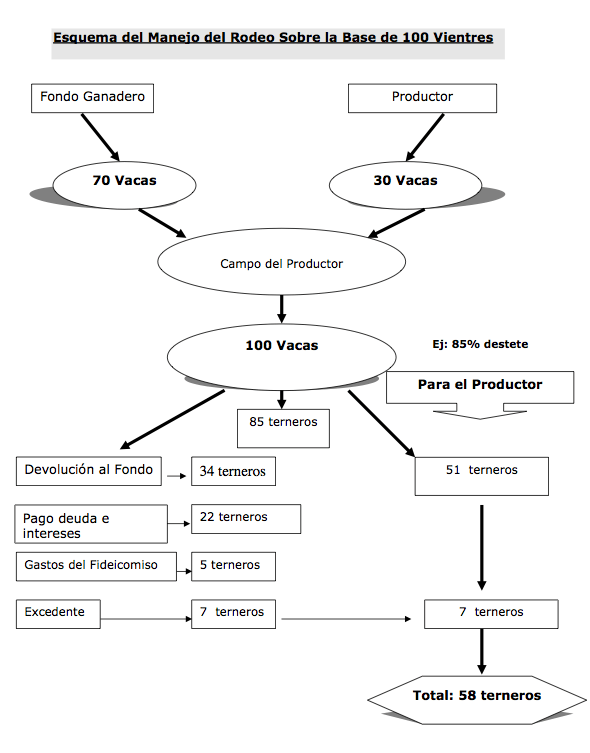 fideicomiso-esquema